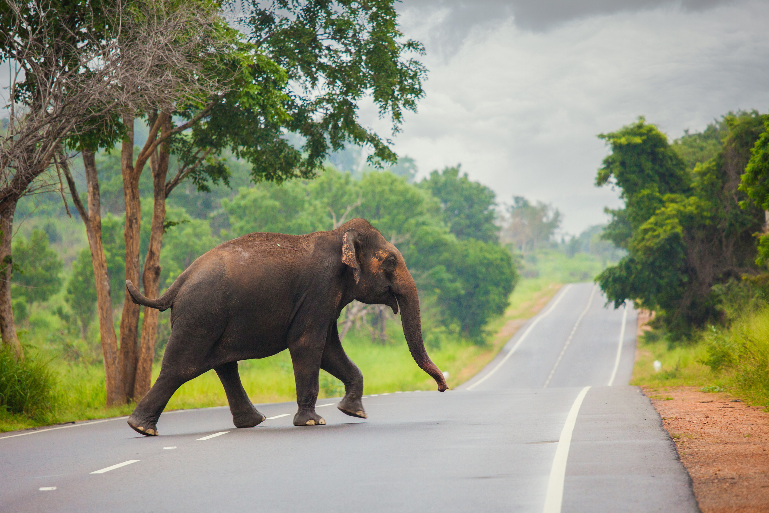 Maredumilli 2 Days Tour Package