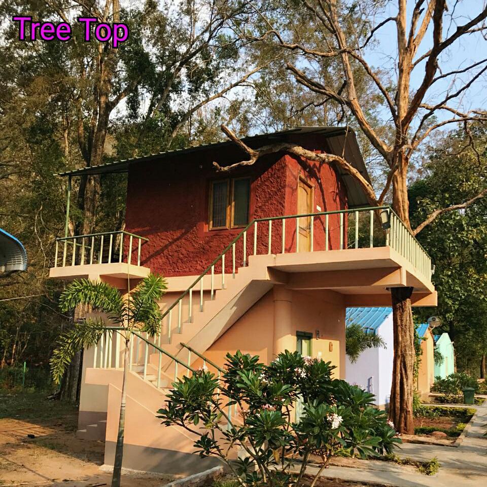 Bird's Nest Resort