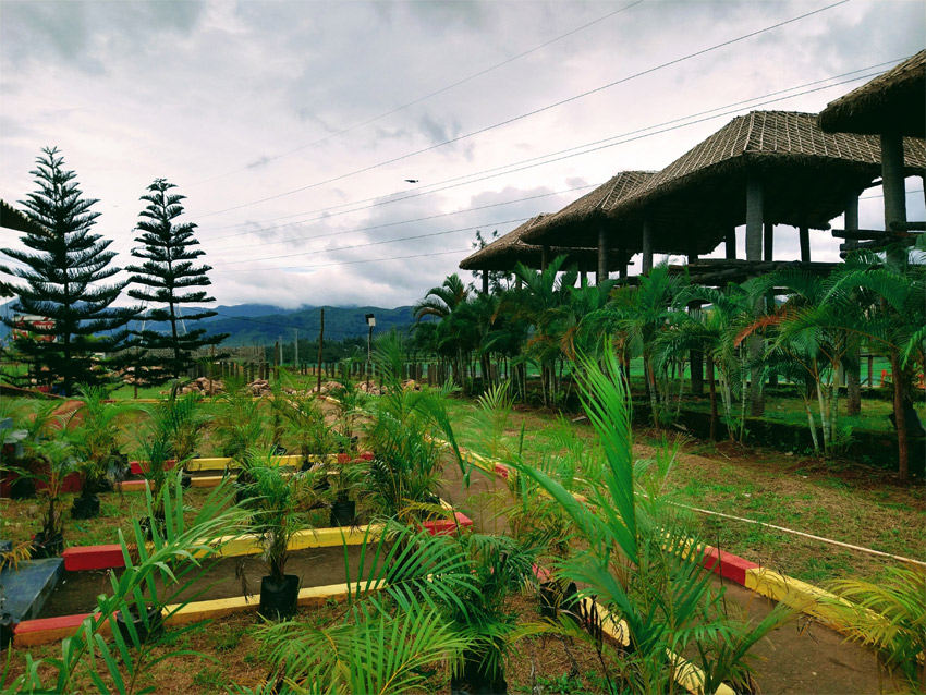 Apple Resorts Araku